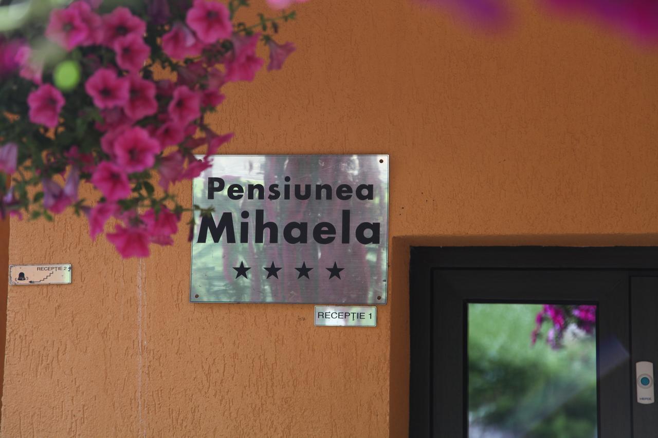 Pensiunea Mihaela Poiana Brasov Exterior photo